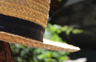 Bosque dos Amieiros - Foto 68