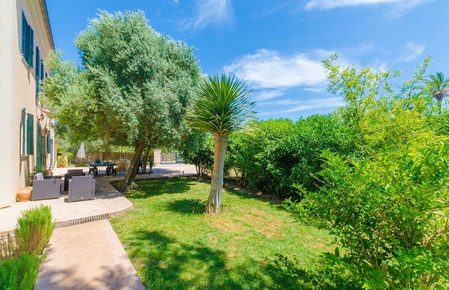 Hort De Can Bou in Porreres - Foto 9