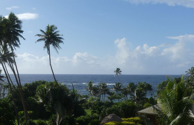 Fiji Lodge Vosa Ni Ua - Photo 18