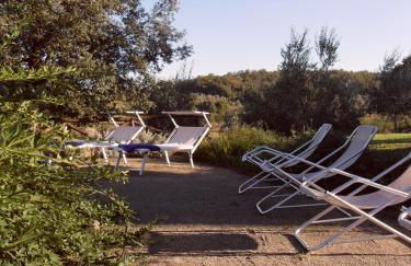 Podere Pievina Delle Corti - Dimora di Campagna - Photo 75