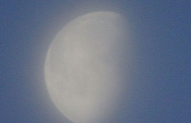 Outstandingly Situated Cosy Shepherds Hut - Photo 11