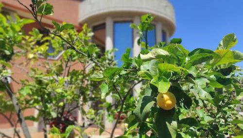 Villa Emilia - Foto 3