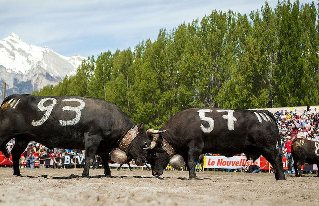 Mountain View Holiday Home in Binntal near Lengtal Deck - Foto 20