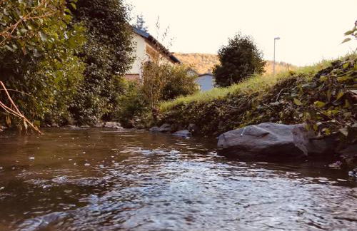 Ferienwohnung Frevel - Foto 39