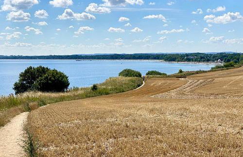 Fewo Horst_ grün. - Foto 16