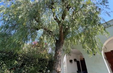 Holiday Home Pilone - Foto 4