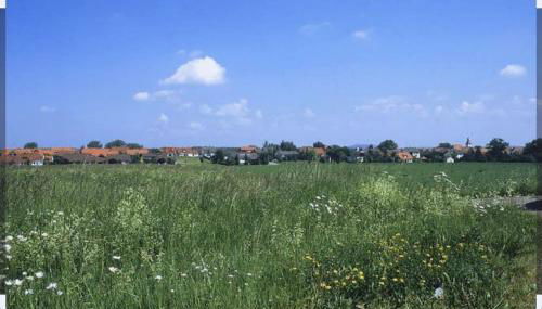 Ferienwohnung im fränkischen Seenland für bis zu 4 Personen - Foto 4