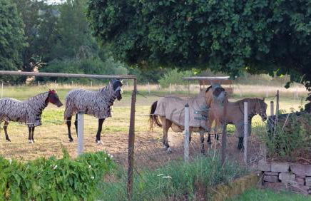 Ferienwohnung MW 1b 82m2 Höxter Weserbergland Weser inkl 2 Terrassen Wäsche und Endreinigung Self CheckIn - Foto 49