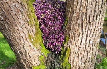 La Turlure - Foto 38