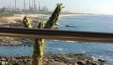 Matosinhos -Seas Apartment- Cabo das Marés - Photo 5