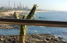 Matosinhos -Seas Apartment- Cabo das Marés - Foto 5