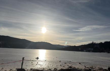 Blackhome Titisee Apartment 5 - Foto 9