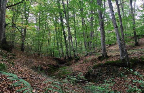 Suite Curry - Photo 33