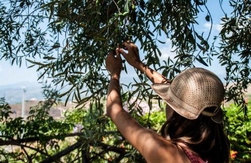 Antico Borgo Etneo Country Hotel - Foto 94