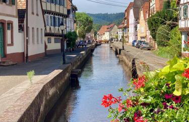 Charmante maison de 140m2 au bord de la rivière au coeur de Wissembourg - Foto 41