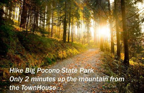 Ski-In Ski-Out Camelback Village Townhouse - 100 YDS From The Mountain - Foto 36