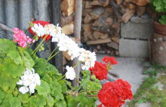 Albergo Diffuso Faller - Foto 42