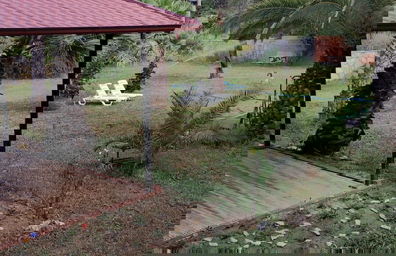 The Palm Apart Sarigerme - Foto 72