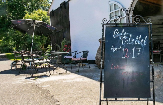 Holiday Home in BjÃ¸rnÃ¸ - Photo 23