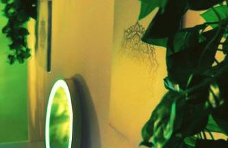 Stilvolles und Kunstvolles Retreat Apartment mit 400qm Garten & Massage und Ayurveda - Foto 21