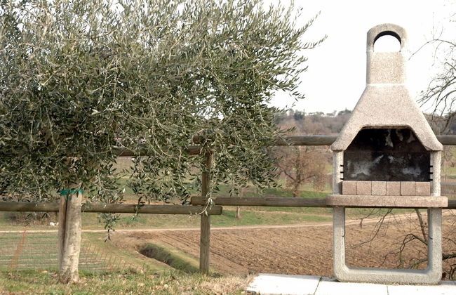 Agriturismo San Leone - Photo 49