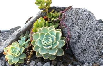 Vista do Pilar - Foto 19