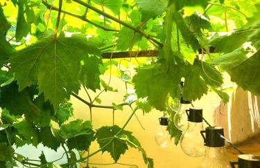 Aleka's traditional house - Foto 36