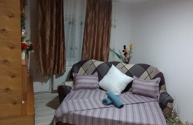 Apartament Iosif House RGR 1 - Photo 1