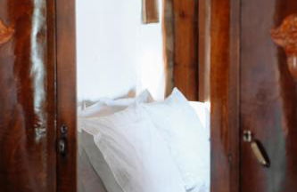 Olive Roots - Foto 21