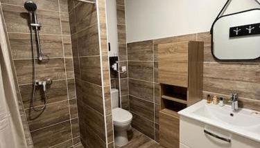 Superbe appartement à 15 min de Lyon - Foto 4, Shower