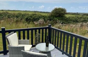 Modern Lodge with Amazing Views - Foto 29