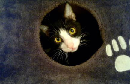 Bajo Los Tilos - Foto 69