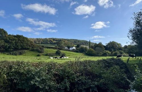 Charming Dog-Friendly Guesthouse - Foto 19