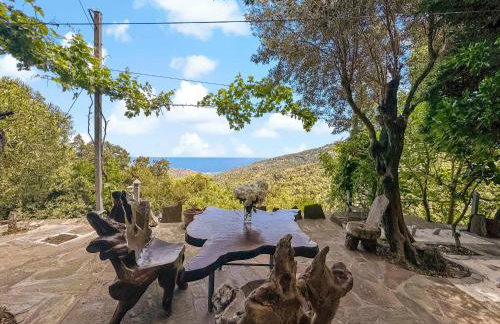 Ikaria View Resort and Villa with Pool - Photo 70