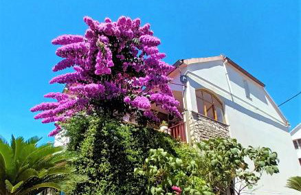 Apartman Nada - Foto 1