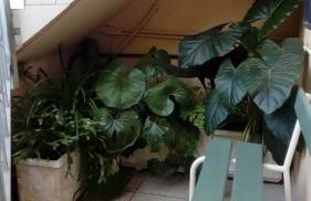 Casa dos amigos 1 - Foto 28