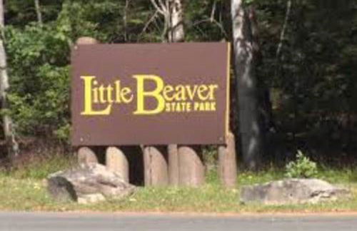 Home in the Heart of W.V. Adventure Country! - Photo 79