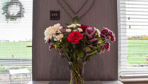 Dothan Farm Cottage - Foto 4