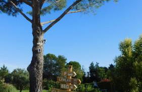 Les Bougainvillées de Camargue - Photo 32