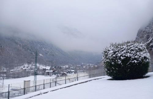 The Green Owl - Foto 18