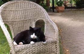 Into The Green Apartment - Foto 29