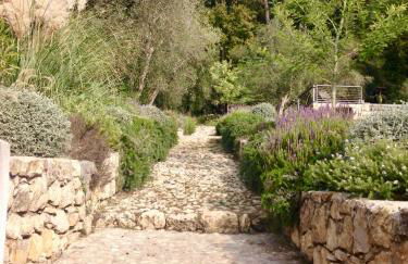 Domaine de Bramafam - Foto 18