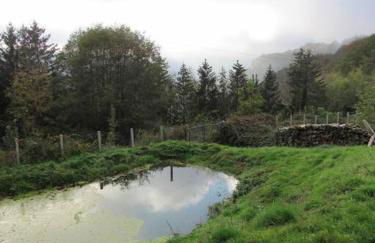 La chouette dort le gîte du retour à la source - Photo 21