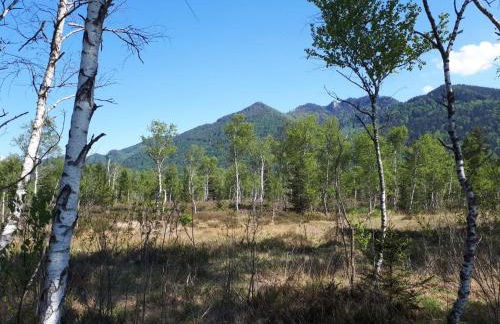 Ferienwohnung am Gänsbach - Foto 9