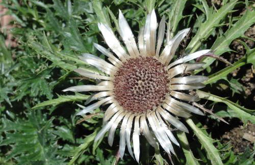 Landhaus Brigitte - Photo 49