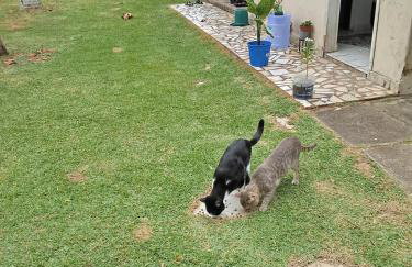 Refúgio à beira mar - Foto 6