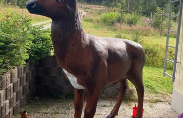 F&F Apartment - Foto 55