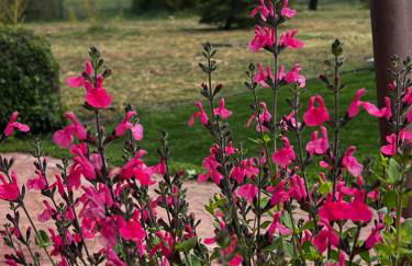 Espacio Shangrila.One - Foto 69