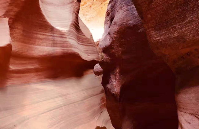 Day Trip to Antelope Canyon & Horseshoe Bend - Photo 5