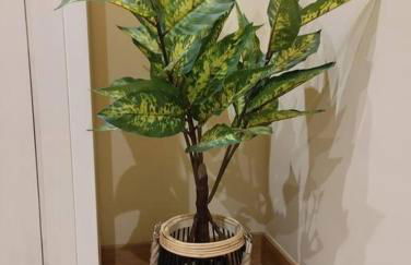 Urbión Etxea - Foto 8